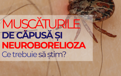 Muscaturile de capusa si neuroborelioza – ce trebuie sa stim?