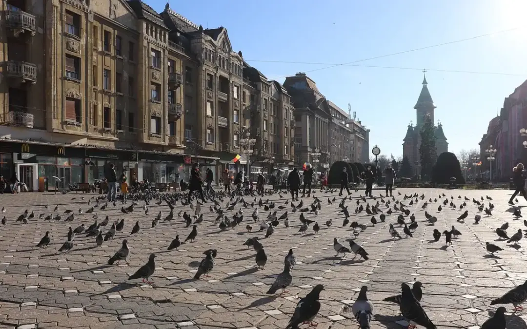 Curs de Prim Ajutor Timișoara – MEDSkill Center