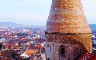 Curs de prim ajutor Deva – MEDSkill Center