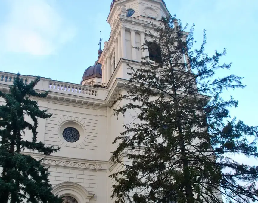 Curs de Prim Ajutor Esențial – Fizic în Iași