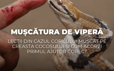 Mușcătura de viperă: lecții din cazul copilului mușcat pe Creasta Cocoșului și cum acorzi primul ajutor corect