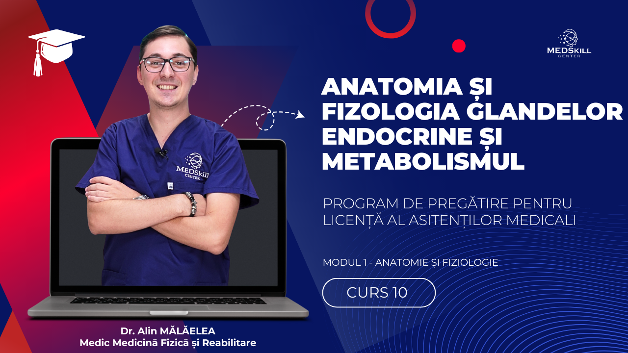 Curs – ANATOMIA ȘI FIZIOLOGIA GLANDELOR ENDOCRINE ȘI METABOLISMUL – Modul 1 – Program AMG