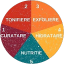 Mihaela Radulescu profile picture