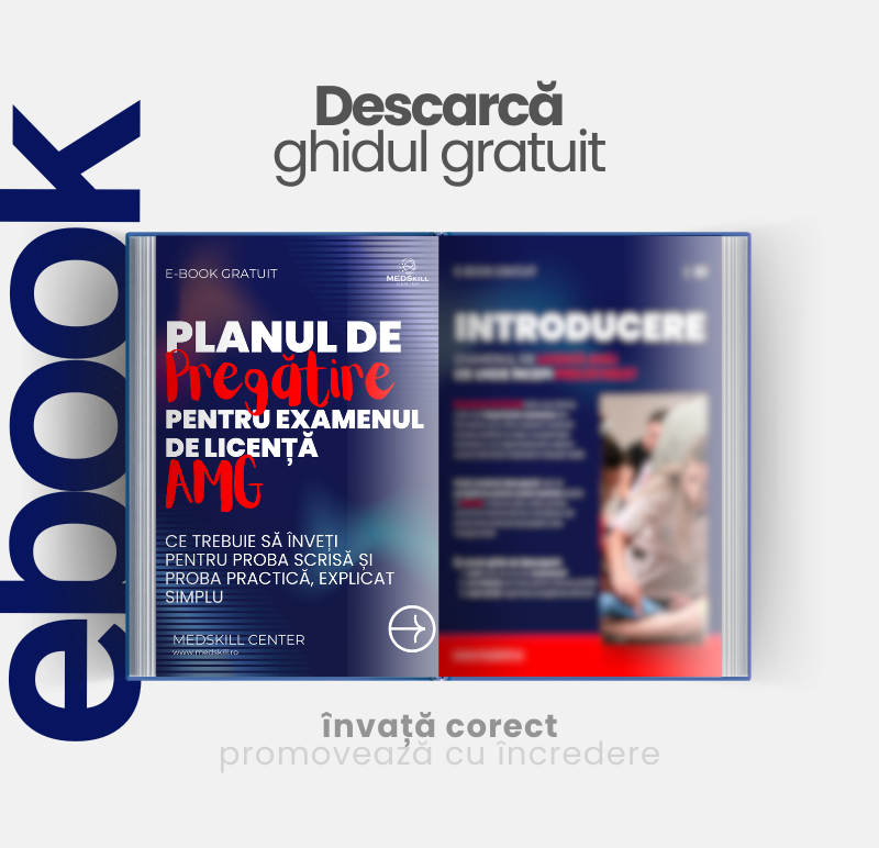 ghid licenta amg